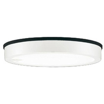 OG254813R �t���b�g�v���[�g �G�N�X�e���A �����FLED �_�E�����C�g R15�N���X2 �l���Z���T�[�t ODELIC(�I�[�f���b�N) ������p��t �h�J�^ 100V 5000K �����F ���邳FCL30W���� �I�t�z���C�g�F   OG254813R 66056710