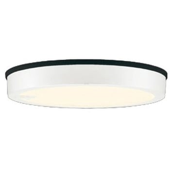 OG254814R �t���b�g�v���[�g �G�N�X�e���A �����FLED �_�E�����C�g R15�N���X2 �l���Z���T�[�t ODELIC(�I�[�f���b�N) ������p��t �h�J�^ 100V 2700K �d���F ���邳FCL30W���� �I�t�z���C�g�F   OG254814R 66056719