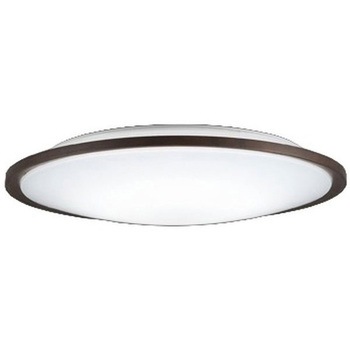 OL291319GR GAMMA PLUS シーリングライト 高演色LED R15クラス2 ODELIC(オーデリック) 66057455