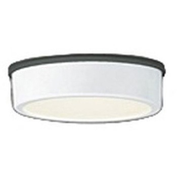 OG254528R �t���b�g�v���[�g �G�N�X�e���A �����FLED �_�E�����C�g R15�N���X2 ODELIC(�I�[�f���b�N) �h�J�^ 100V �s�� 2700K �d���F ������p��t ���邳���M�����60W����   OG254528R 66068007