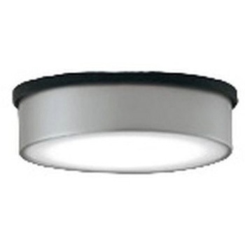 OG264299NR �t���b�g�v���[�g �G�N�X�e���A �����FLED �_�E�����C�g R15�N���X2 ODELIC(�I�[�f���b�N) �h�J�^ 100V �s�� 5000K �����F ������t��p ���邳���M�����100W����   OG264299NR 66068068