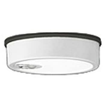 OG254533R �t���b�g�v���[�g �G�N�X�e���A �����FLED �_�E�����C�g R15�N���X2 �l���Z���T�[�t ODELIC(�I�[�f���b�N) ������p��t �h�J�^ 100V 5000K �����F ���邳���M�����60W���� �I�t�z���C�g�F   OG254533R 66068120