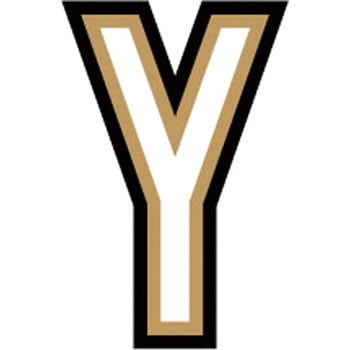 LD-1Y LETTER DECAL�X�e�b�J�[ �[�l�����X�e�b�J�[ �ϐ����^�C�v �������eY ��25mm����25mm 1�� LD-1Y 66082862