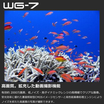 WG-7 BK 防水防塵デジタルカメラ WG-7 1個 リコー(RICOH) 【通販サイト