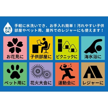 PP柄上敷 涼風(りょうふう) 萩原
