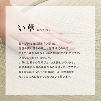 掛川織のい草カーペット 津弥 萩原