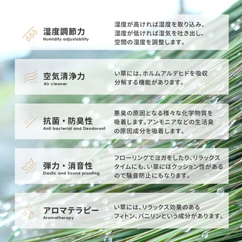 掛川織のい草カーペット 津弥 萩原
