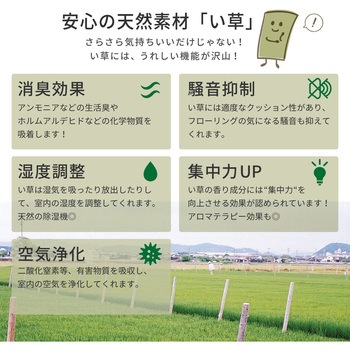掛川織のい草カーペット 津弥 萩原