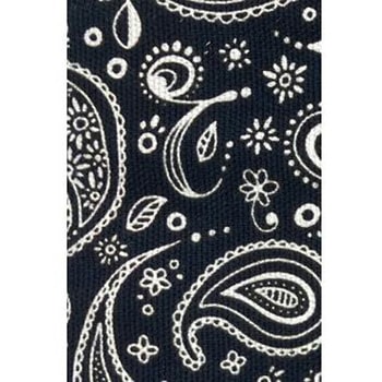 ES-PP50PSY/BKW  Paisley M^[Xgbv SpiceNote 50mm 66219040