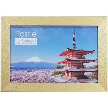 107518 �t�H�g�t���[�� �|�X�e�B ���� �S�[���h�F 66224999