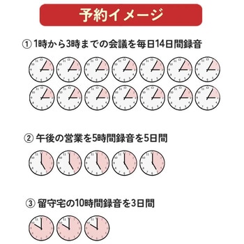 極細ペン型ボイスレコーダー Fluke Forest(フルークフォレスト)