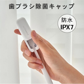防水歯ブラシ除菌キャップ Fluke Forest(フルークフォレスト)