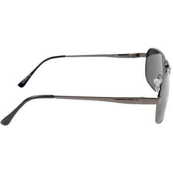 キャプテンスタッグサングラス(偏光) 保土ヶ谷電子販売