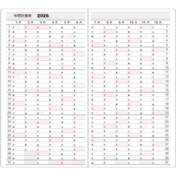 2026 アポイントメント 本文 コレクト