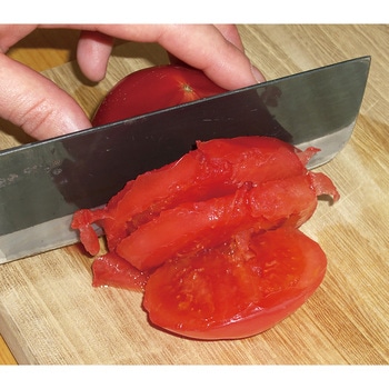 竹内英治の「ダイヤモンド包丁研ぎ器」 ファミリー・ライフ