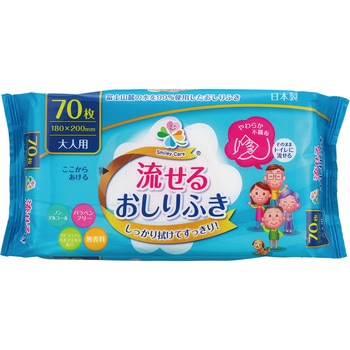 SMC大人用流せるおしりふき70枚 大一紙工