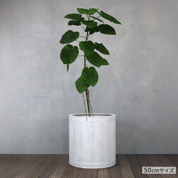 「FARBOR」 ファーバー 木調FRPプランター (丸型) 住まいスタイル