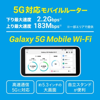 PKG/WP5/Y DISM WiMAX +5Gパッケージ新規1年版 1個 DIS mobile 【通販