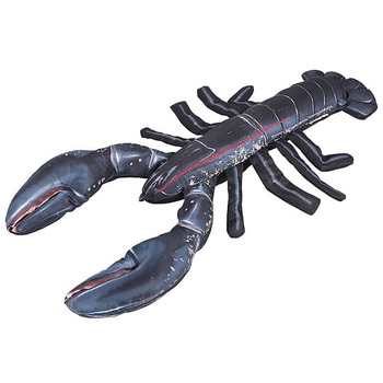 FISHES EUROPEAN LOBSTER(フィッシーズヨーロピアンロブスター) ダルトン