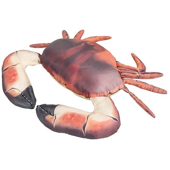 FISHES BROWN CRAB(フィッシーズブラウンクラブ) ダルトン