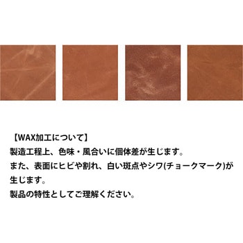 WAX CANVAS TOOL POUCH (ワックスキャンバスツールポーチ) ダルトン