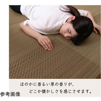 カーペット ござ 国産 敷詰 ラグ 敷物 い草 消臭抗菌防臭 市松 イケヒコ・コーポレーション