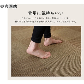カーペット ござ 国産 敷詰 ラグ 敷物 い草 消臭抗菌防臭 市松 イケヒコ・コーポレーション