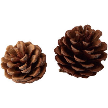 8185-2902 ~ NX}XfR[V i`p[cZbg XgAEGLXvX 66333587