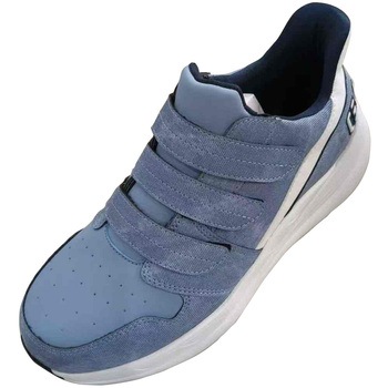 CfBS26.0cm ZteBXj[J[GKS59 K-ZOC(PC]bN) CfBSF TCY26cm 66341549