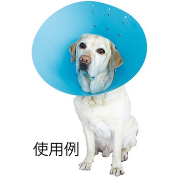 アニマルネッカー 金属ブルー 5枚入 - 東京メニックス