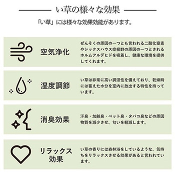 い草ラグ 花ござ カーペット 格子 和洋室 滑り止め 抗菌防臭消臭 イケヒコ・コーポレーション