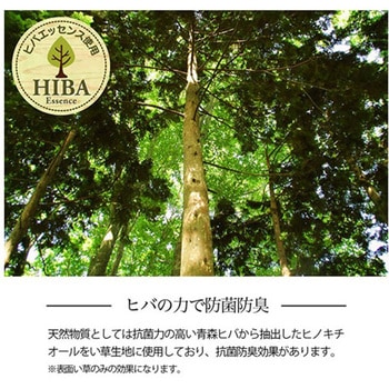 い草ラグ 花ござ カーペット 格子 和洋室 滑り止め 抗菌防臭消臭 イケヒコ・コーポレーション