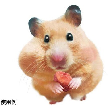 小動物のFDマルシェ ドギーマン