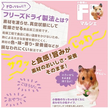 小動物のFDマルシェ ドギーマン