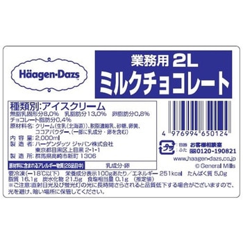 [冷凍]業務用 2L ミルクチョコレート ハーゲンダッツ