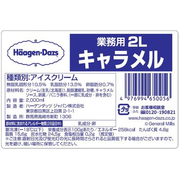 [冷凍]業務用 2L キャラメル ハーゲンダッツ