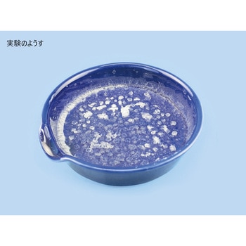 色付き蒸発皿 ナリカ