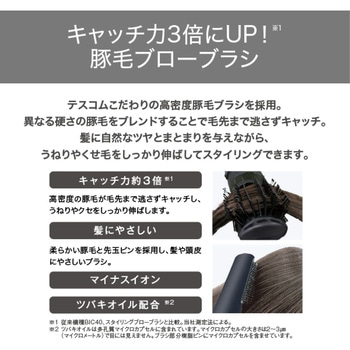 くるくるドライヤー カールドライヤー マイナスイオン 豚毛ブローブラシ 国内・海外 両用モデル 3段階切替 (DRY-SET-COOL) Cタイプ変換プラグ付 ブラック テスコム