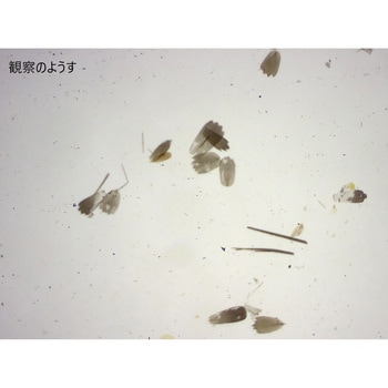 L55-6810 �����v���p���[�g �i���J ���ؕ�  1��(10��) L55-6810 66386891