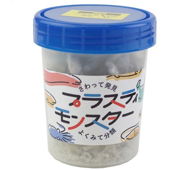 分類学習用稚魚標本 ナリカ