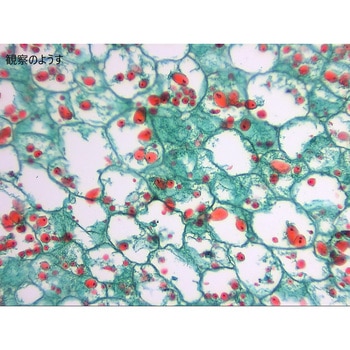 L55-8414 vp[g iJ WKC  1(10) L55-8414 66386961