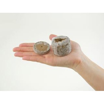 水でふくらむ土(大) ナリカ