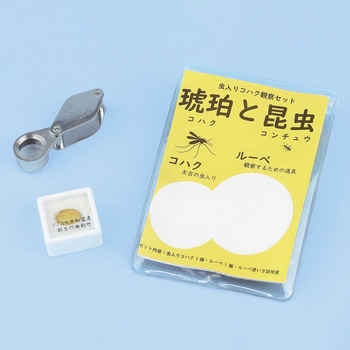 虫入り琥珀観察セット ナリカ