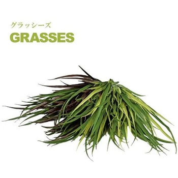 VG-VFLGSET rX^tHAJ[BOX O[tB[h 1Zbg VG-VFLGSET 66403395