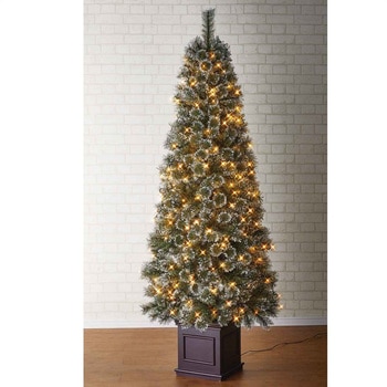 冬装飾 ヌードブラシ クリスマスツリー LEDライト付き ストア・エキスプレス