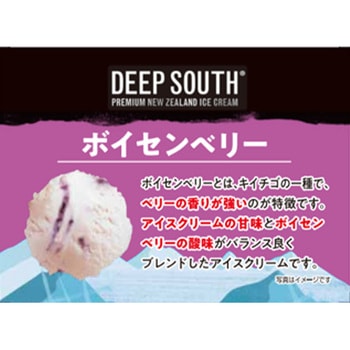 [冷凍]DEEP SOUTH ボイセンベリー DEEPSOUTH