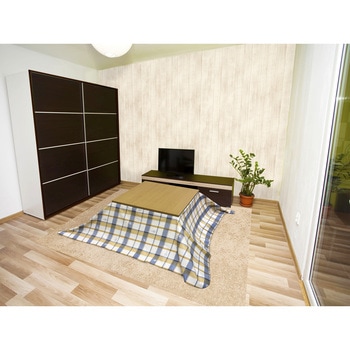 コタツ上掛け 明和グラビア