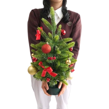 冬装飾 クリスマス用品 LED回転クリスマスツリー レッド 高さ53cm ストア・エキスプレス