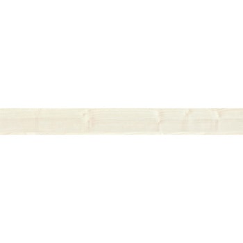 エミネンスタイル2025-2028 アッシュR シンコール