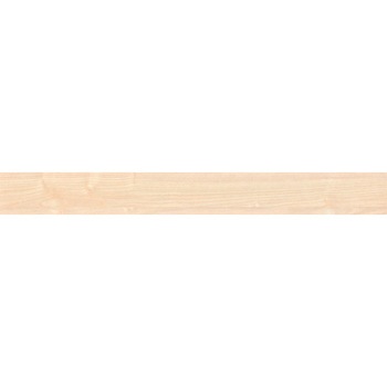 エミネンスタイル2025-2028 アッシュR シンコール